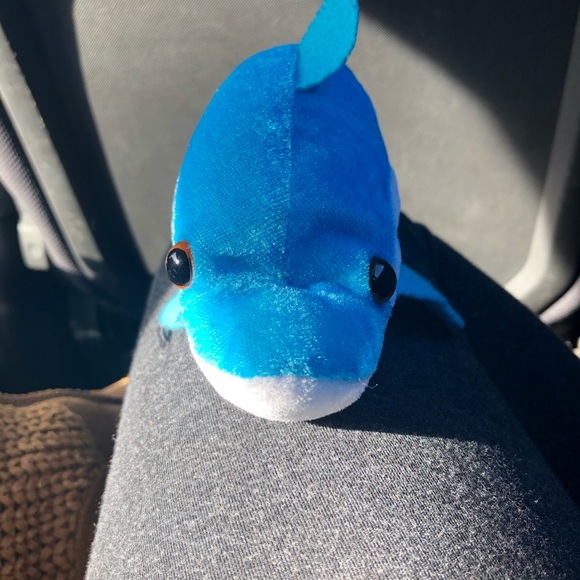 Shark! - Picture 5 of 5